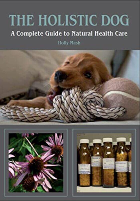 

The Holistic Dog by Sara Perrott-Paperback