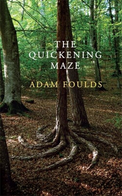 

The Quickening Maze, Hardcover Book, By: Adam Foulds