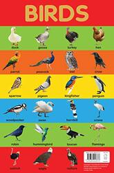 Birds Chart - Early Learning Educational Chart For Kids: Perfect For Homeschooling, Kindergarten and