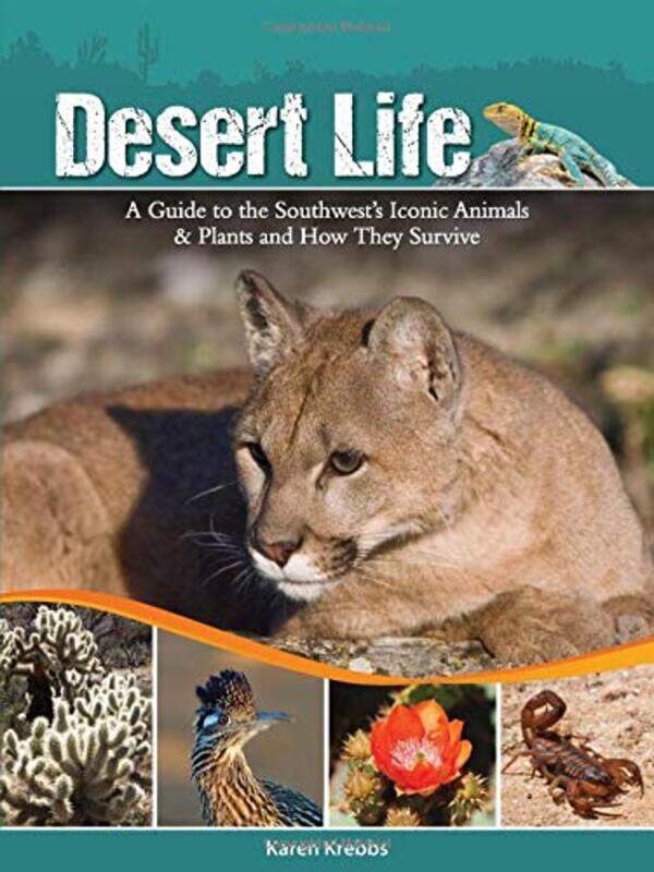 

Desert Life by Joseph P Joseph P Farrell Farrell-Paperback