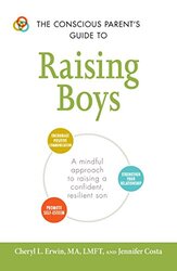 Conscious Parents Guide to Raising Boys by Cheryl L Erwin Paperback