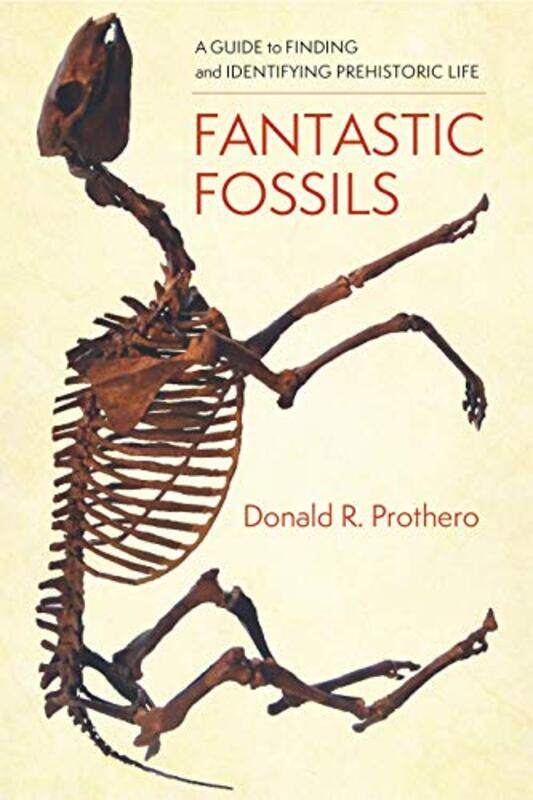 

Fantastic Fossils by Ben LerwillGrahame Baker-Smith-Paperback