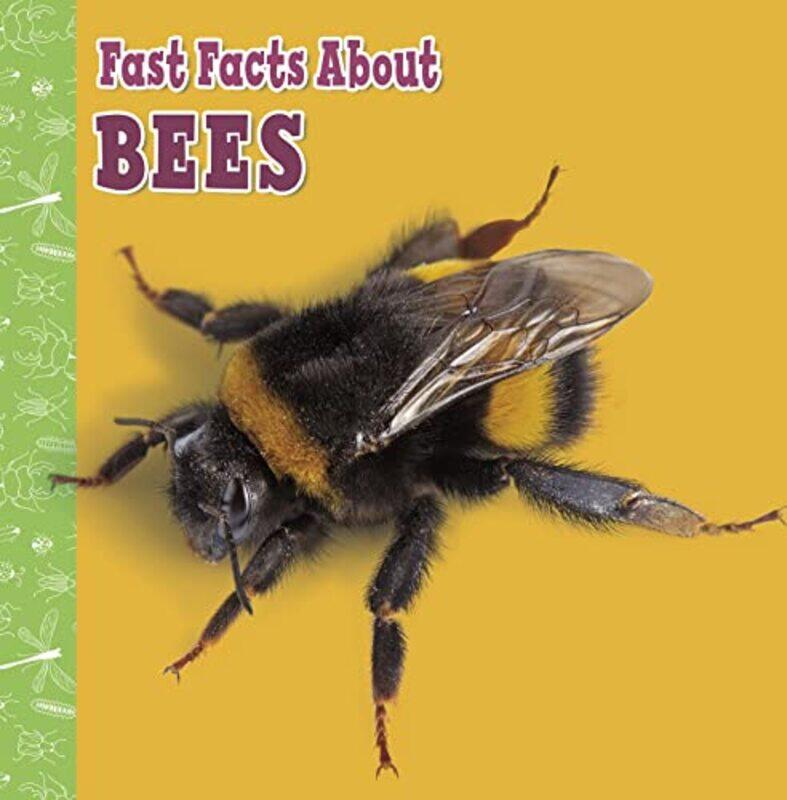 

Fast Facts About Bees by Patrick K FordPatrick K Ford-Paperback