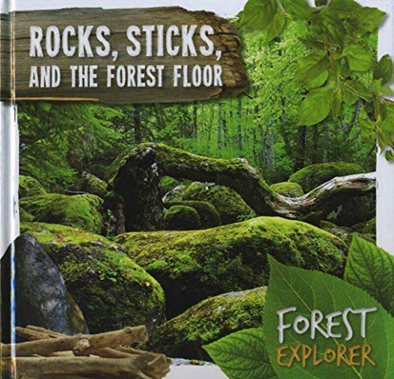 

Rocks Sticks & the Forest Floor by Jack N Alpert-Hardcover