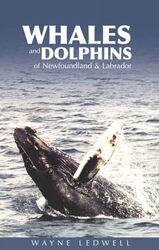 Whales and Dolphins of Newfoundland and Labrador by Wayne Ledwell-Paperback