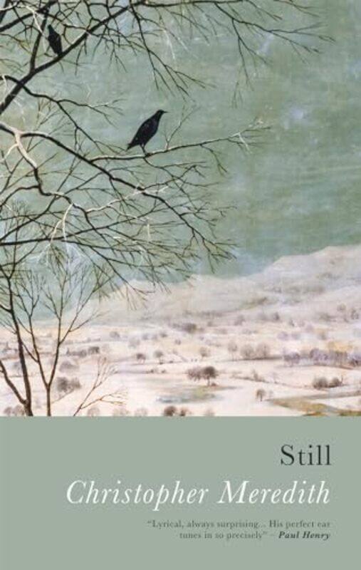 

Still by Christopher Meredith-Paperback