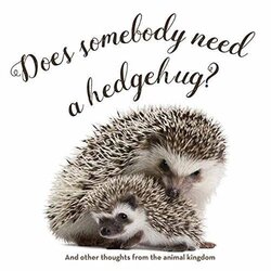 Does Somebody Need a Hedgehug? by Smith Gibbs-Hardcover