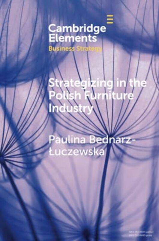

Strategizing in the Polish Furniture Industry by Paulina Uniwersytet Warszawski, Poland Bednarz-Luczewska-Paperback