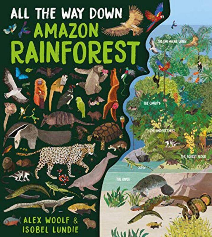 

All The Way Down Amazon Rainforest by Tobias Principle Translations and Interpreting LLC HeussnerToiya Kristen FinleyJennifer Brandes HeplerAnn Lemay-