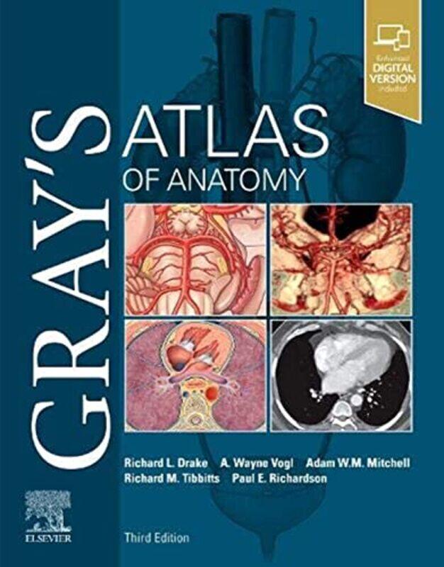 

Grays Atlas of Anatomy by Jason BittelKelsey Buzzell-Paperback