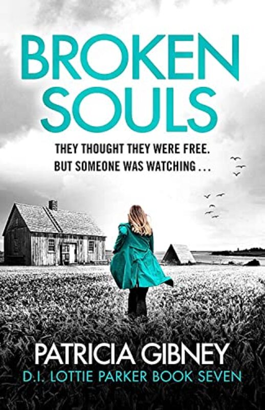 Broken Souls: An absolutely addictive mystery thriller with a brilliant twist,Paperback by Patricia Gibney