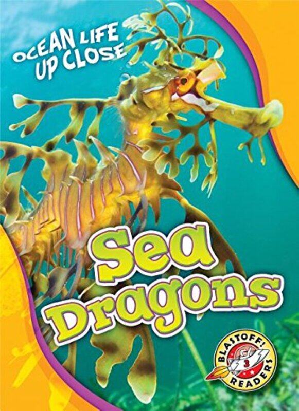 

Sea Dragons by Heather Adamson-Hardcover