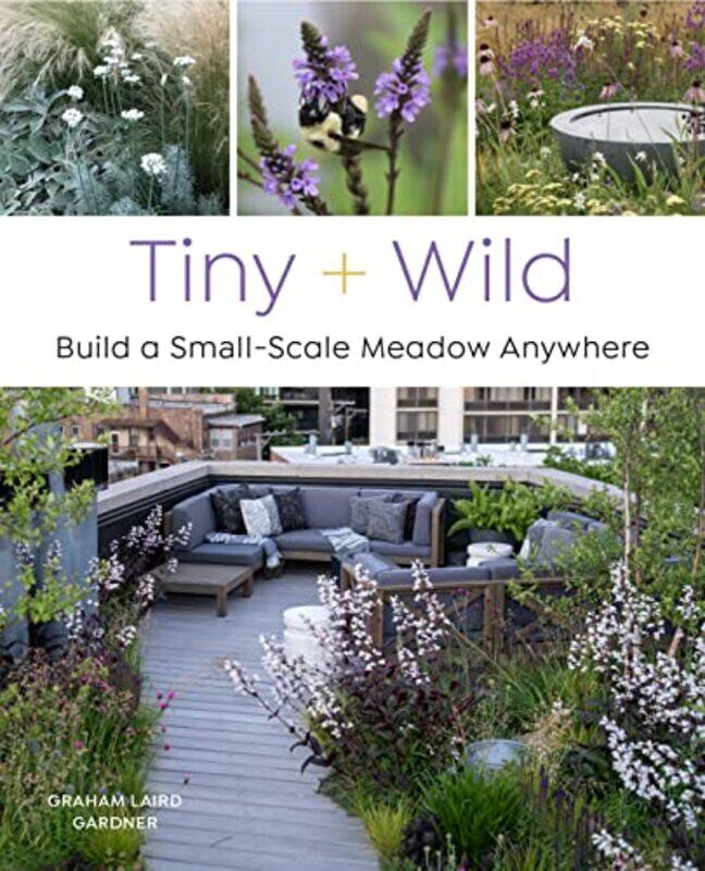 

Tiny and Wild by Jason Karp-Paperback