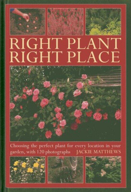 

Right Plant Right Place by Siobhan Fenton-Hardcover