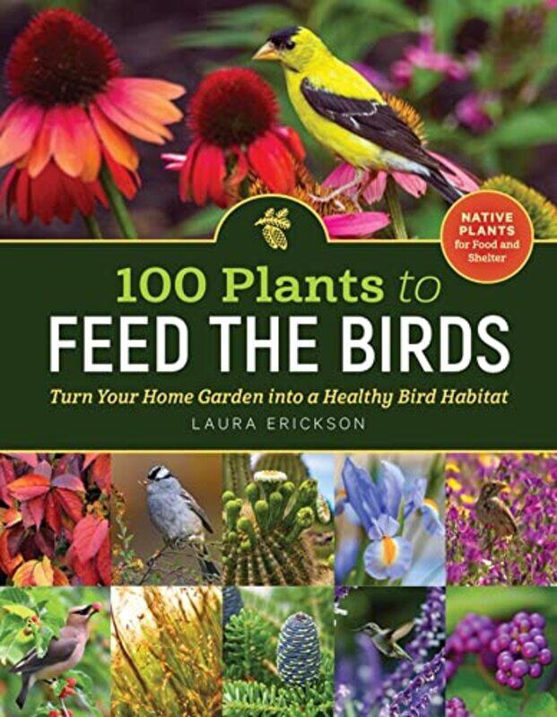 

100 Plants to Feed the Birds by Manuel PhD -Paperback