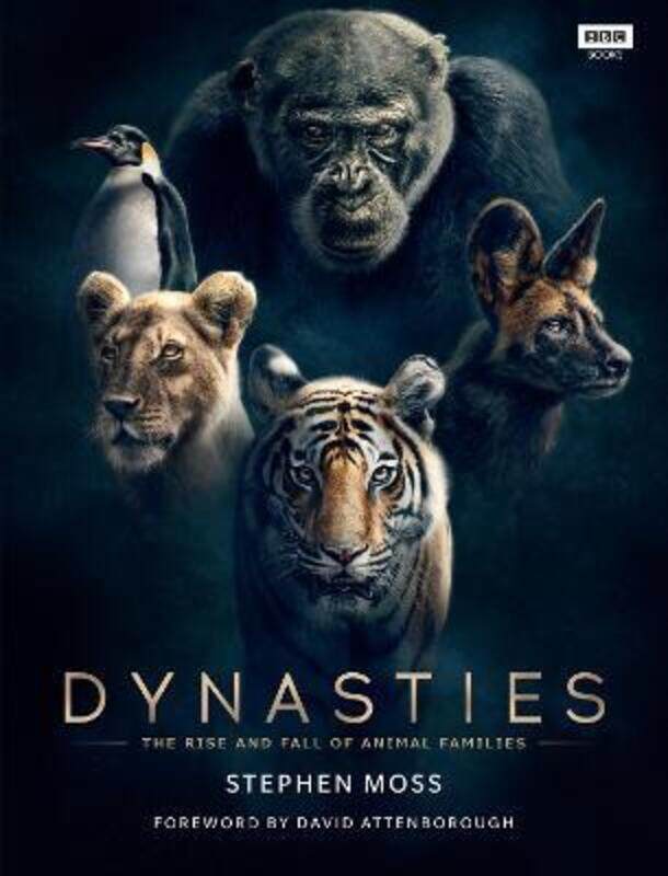 

Dynasty: The Rise and Fall of Animal Families,Paperback,ByMike Gunton