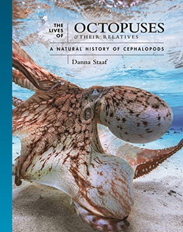 

The Lives of Octopuses and Their Relatives by Mike Brooks-Hardcover