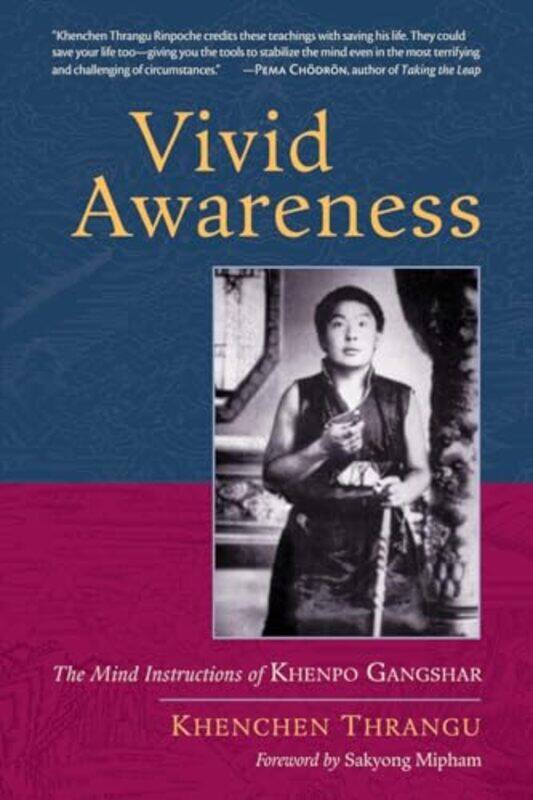 

Vivid Awareness by Michelin-Paperback