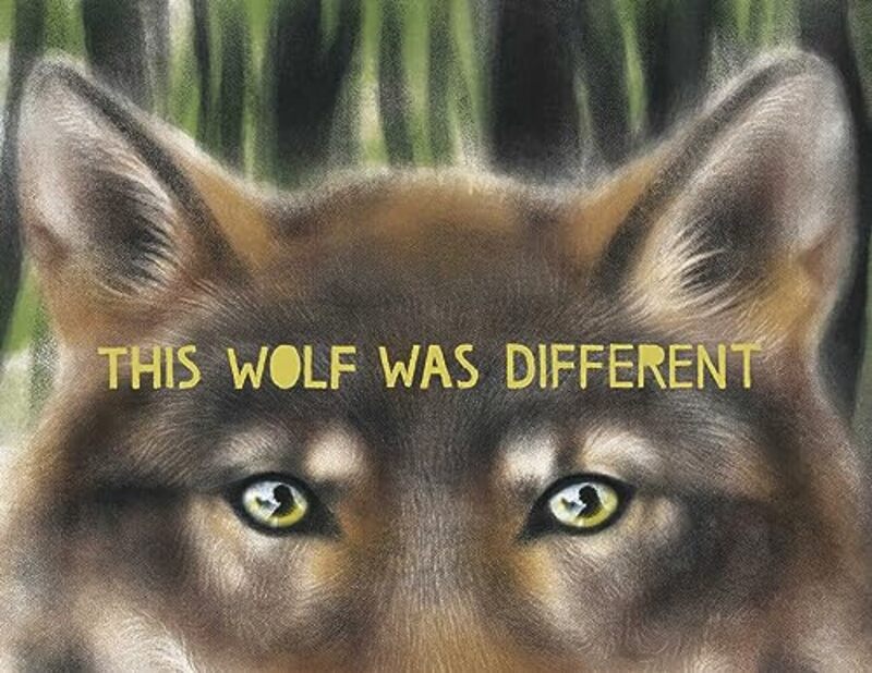 

This Wolf Was Different By Slivensky Katie - Hardcover