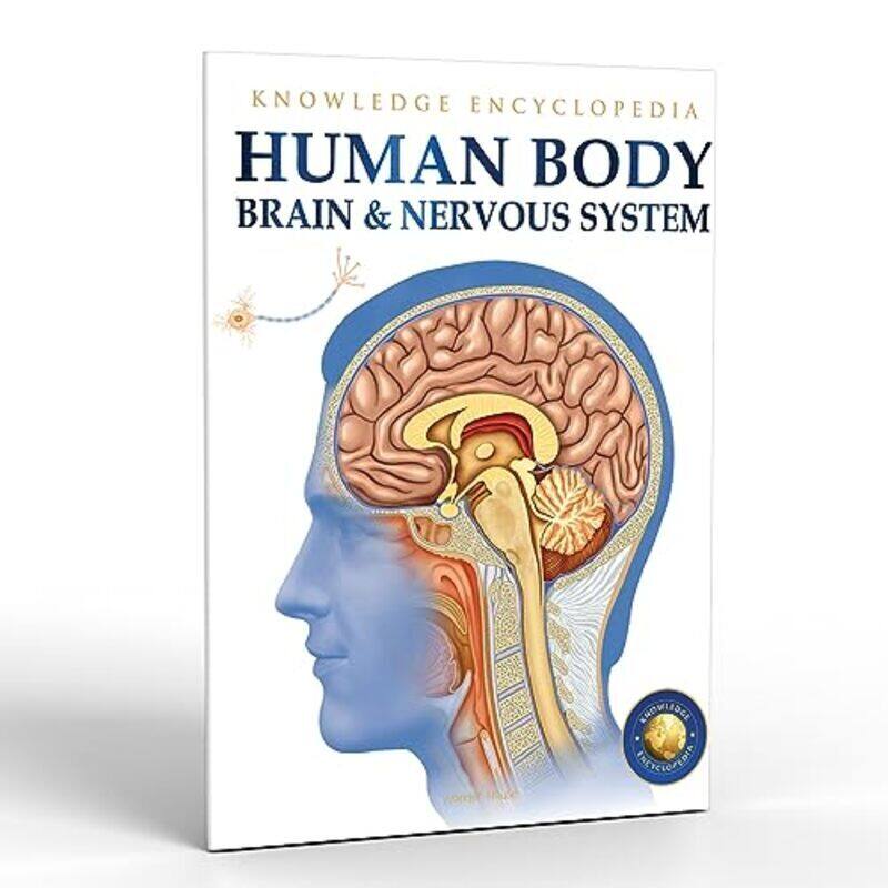 

Human Body Brain And Nervous System: Knowledge Encyclopedia For Children Paperback by Wonder House Books