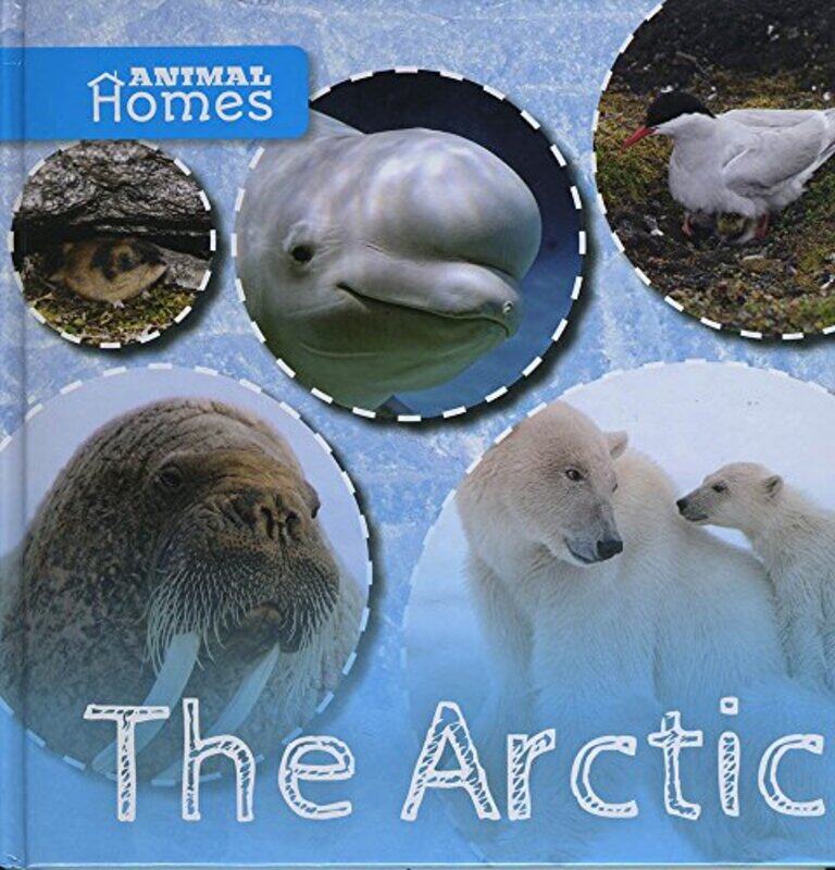 

The Arctic by Henry Irving-Hardcover
