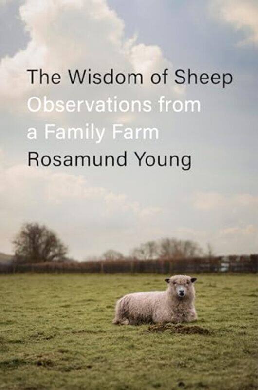 

Wisdom Of Sheep By Young Rosamund - Hardcover