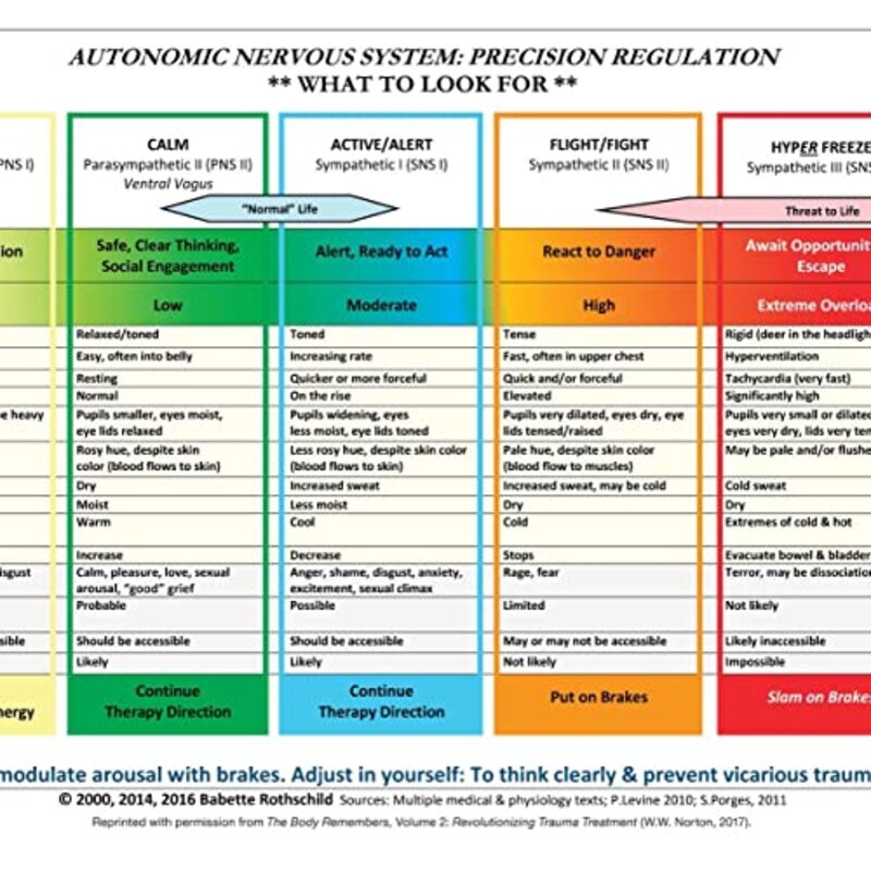 Autonomic Nervous System Table: Wall Poster,Paperback by Rothschild, Babette