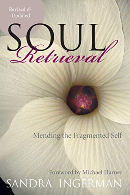 

Soul Retrieval by Sandra Ingerman-Paperback