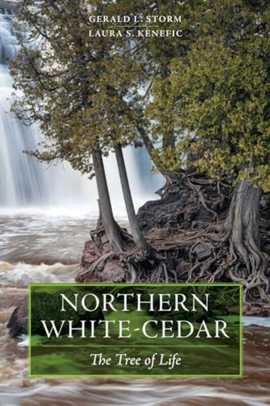 Northern WhiteCedar by Fumiaki Kawahata-Paperback