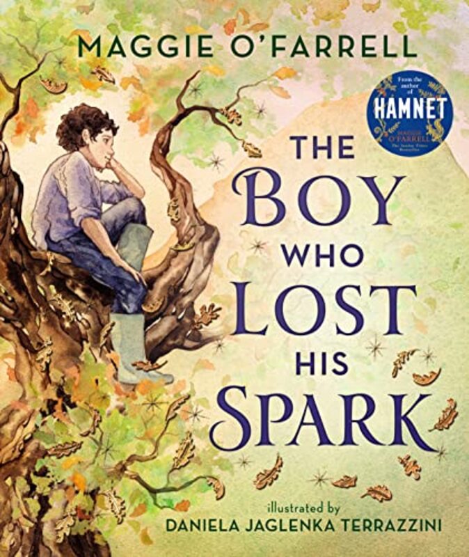 The Boy Who Lost His Spark by Maggie OFarrellDaniela Jaglenka Terrazzini-Hardcover