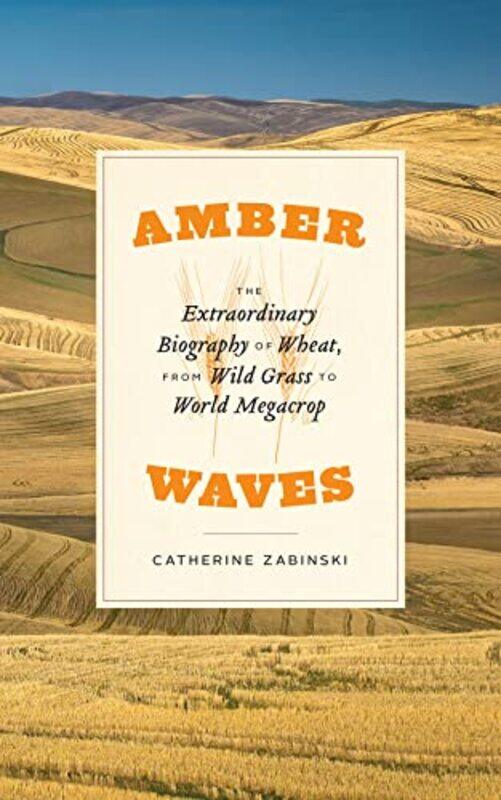 

Amber Waves by Catherine Zabinski-Paperback