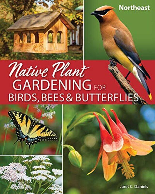

Native Plant Gardening for Birds Bees & Butterflies Northeast by William B Rouse-Paperback