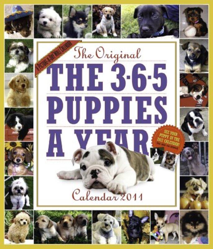 

365 Puppies a Year Calendar 2011, By: Workman Publishing