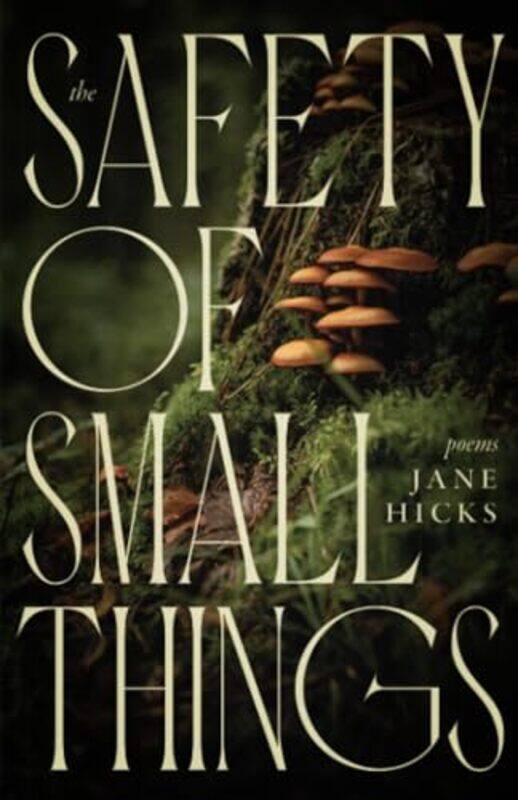 

The Safety Of Small Things by Jane Hicks-Paperback