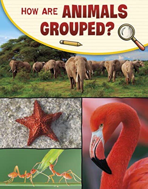 

How Are Animals Grouped by Julia BurdgeJason Overby-Paperback