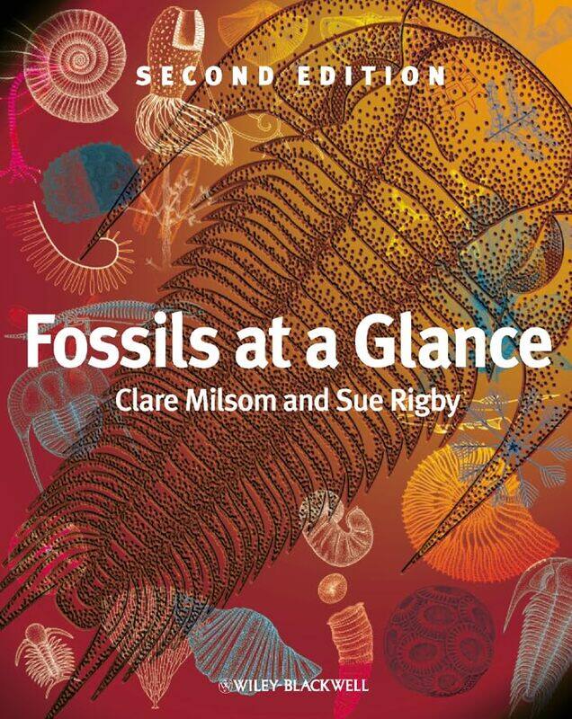 

Fossils at a Glance by Mike FergusonMartin Phillips-Paperback