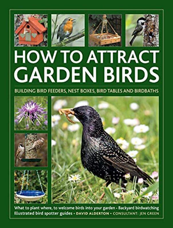 

How to Attract Garden Birds by Imogen CarnSally Douglas-Hardcover