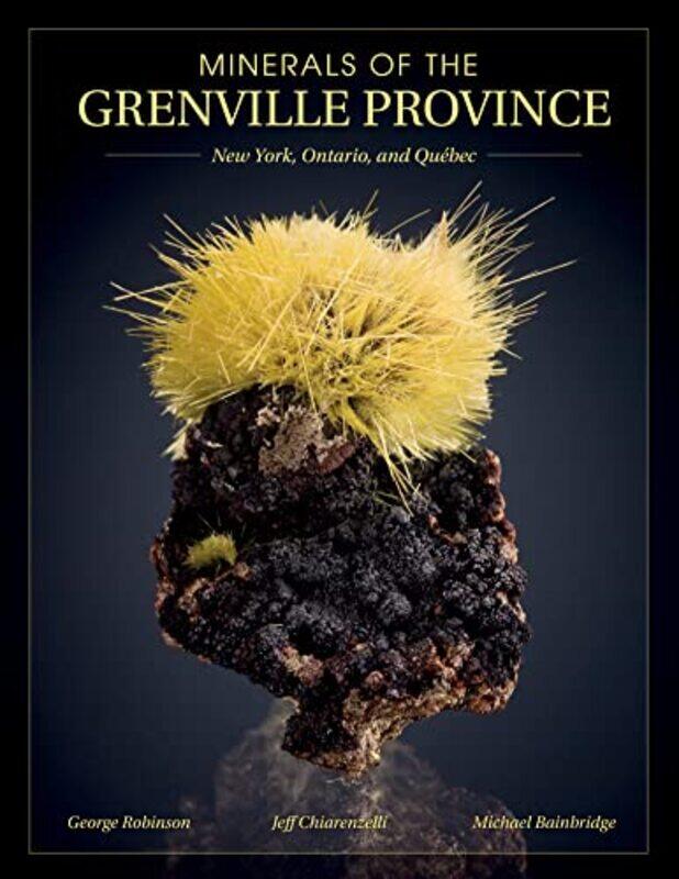 

Minerals of the Grenville Province by Eriko PhD Sato-Paperback