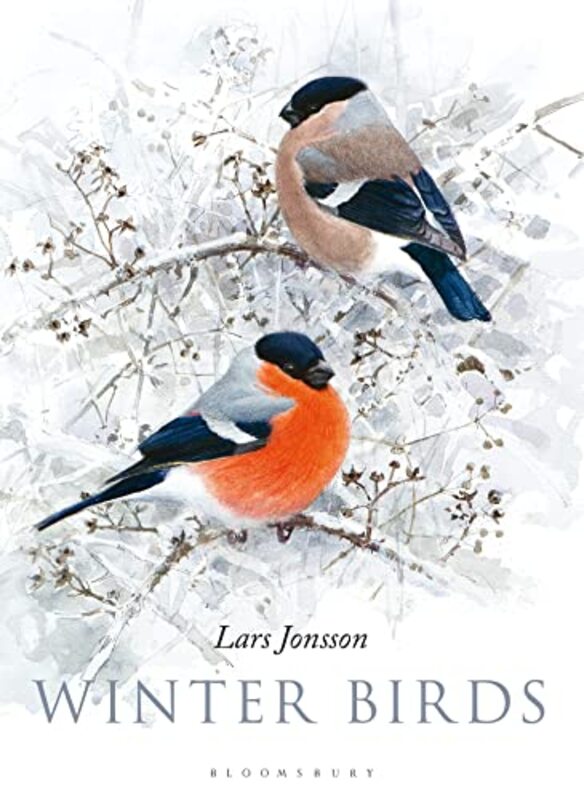 Winter Birds-Hardcover