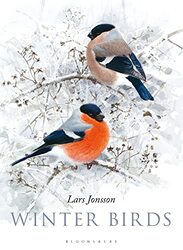 Winter Birds-Hardcover