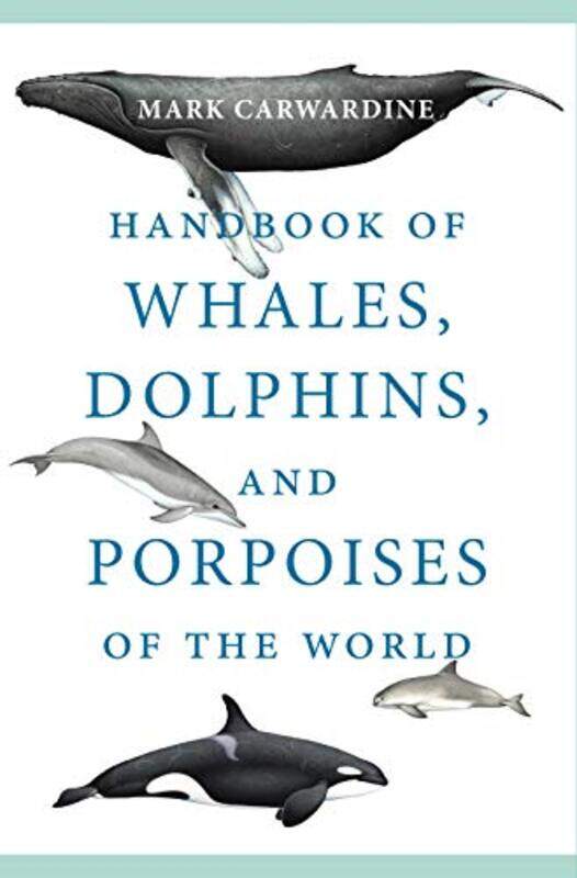 

Handbk Of Whales Dolphins And Porpoises By Carwardine Mark - Paperback