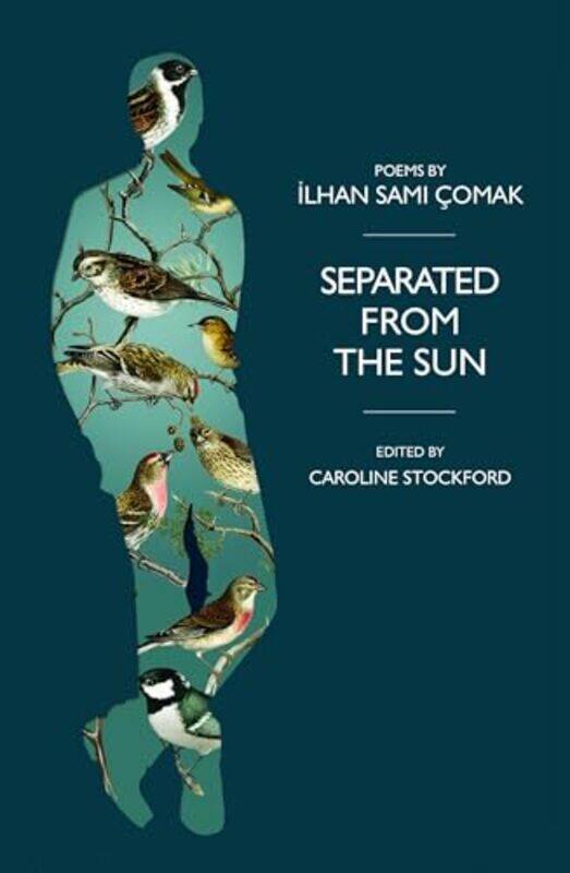

Separated From The Sun by Ilhan Comak-Paperback