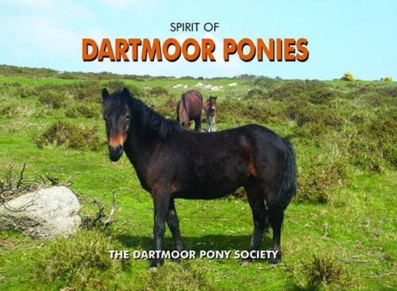 

Spirit of Dartmoor Ponies by Anisa Buckley-Hardcover