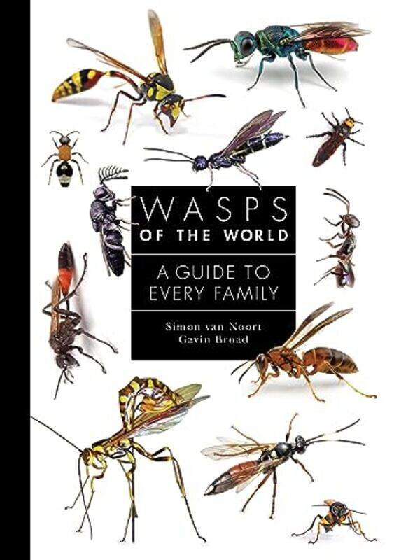 

Wasps Of The World By Noort Simon Van - Hardcover