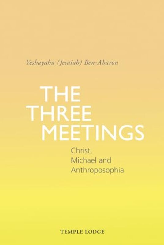 

The Three Meetings by Yeshayahu Jesaiah Ben-Aharon-Paperback