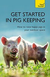 Get Started In Pig Keeping How To Raise Happy Pigs In Your Outdoor Space By York Tony Paperback