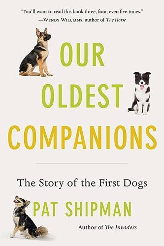 

Our Oldest Companions by Alison Matthews-Paperback