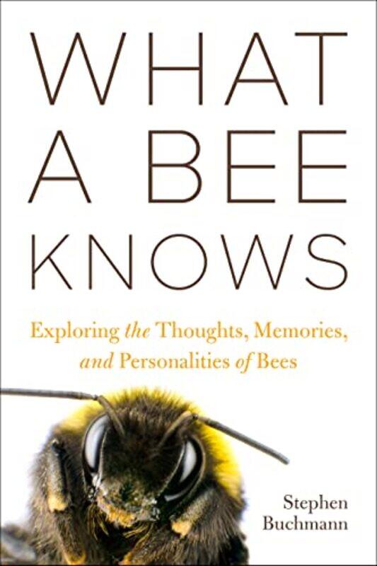 

What a Bee Knows by Raphael-Hardcover