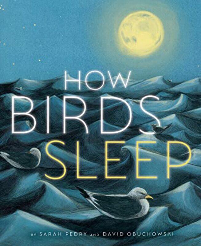 

How Birds Sleep , Hardcover by Obuchowski, David