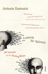 Looking for Spinoza by Antonio R. Damasio - Paperback